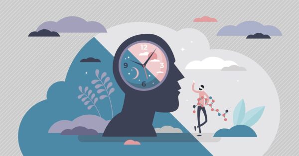 Биоритмы и эффективное обучение: что нужно знать