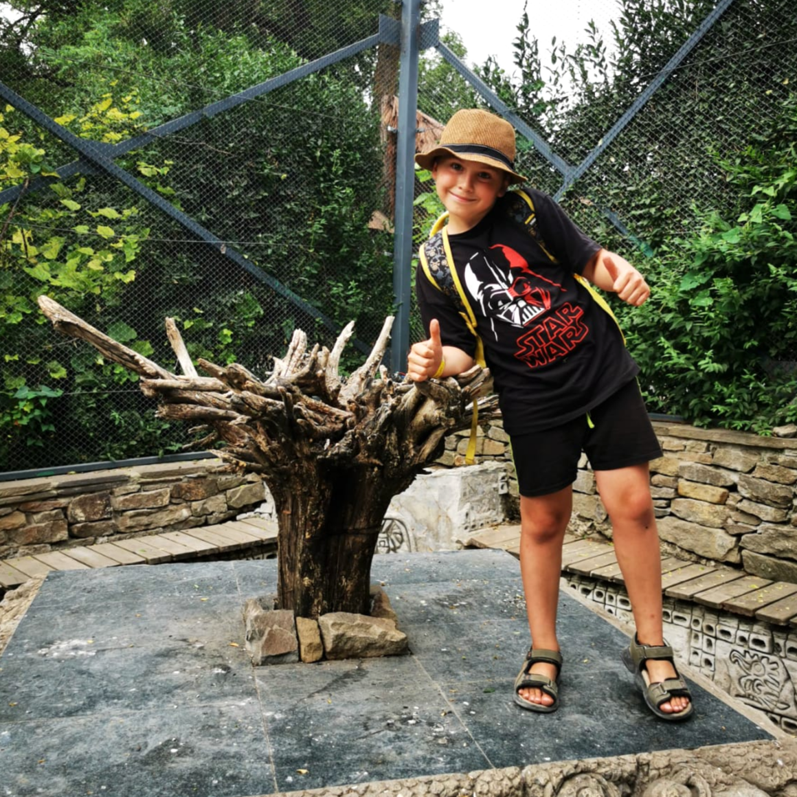 Как познакомить со скорочтением, если ребенок не любит читать?